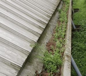 Happy customers in Houghton Regis who trust The Roof Moss Cleaners for gutter cleaning services